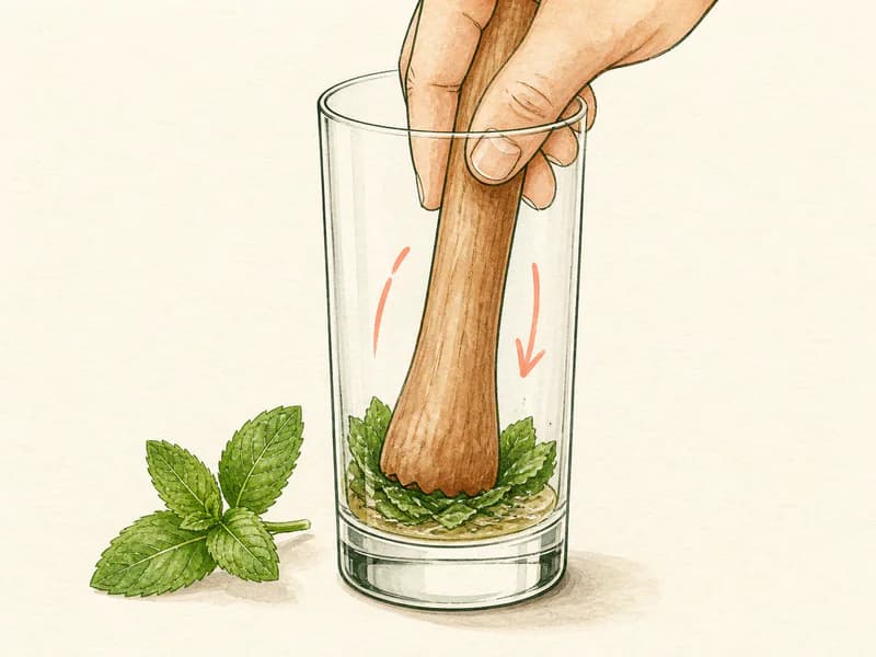 Instructional sketch: Gently muddle Mint, Simple Syrup in the highball glass.